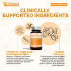 Vifadimed STOMACH PLUS