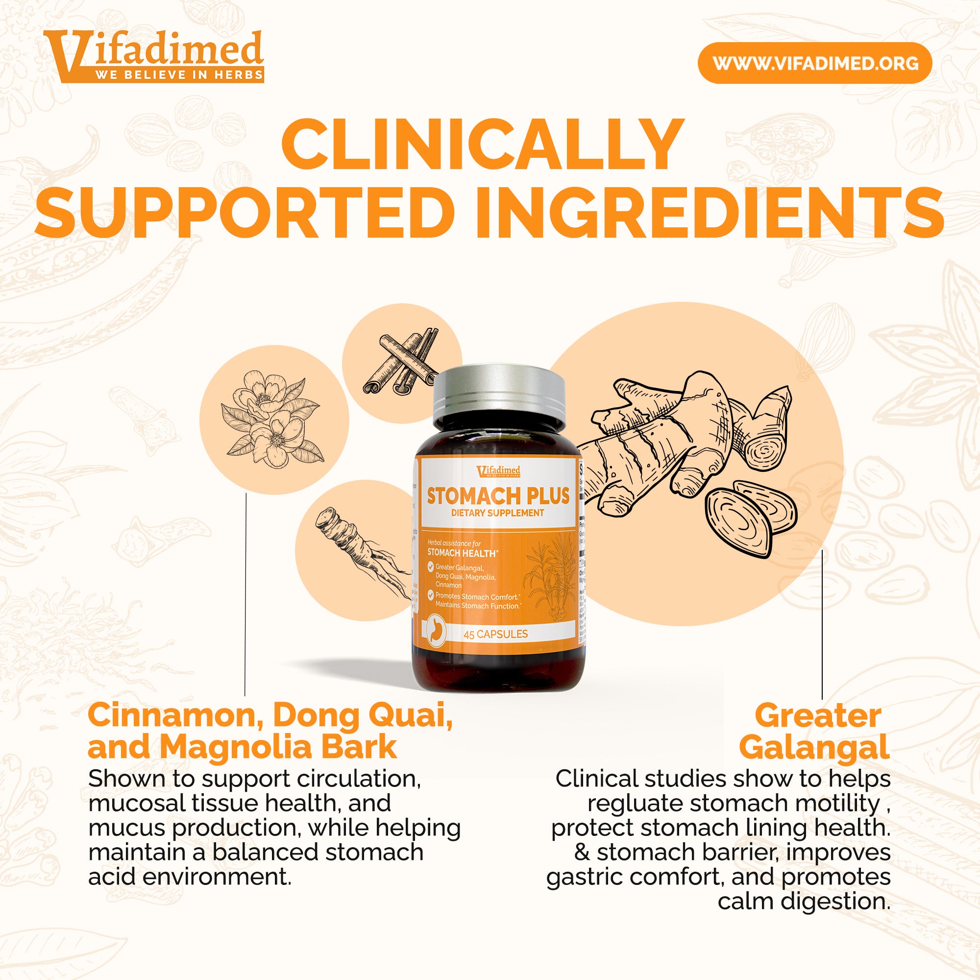 Vifadimed STOMACH PLUS