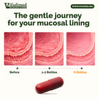 Vifadimed STOMACH PLUS