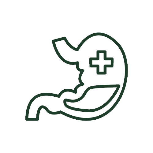 A dark green outline icon of a stomach with a medical cross symbol inside, centered on a plain white background.