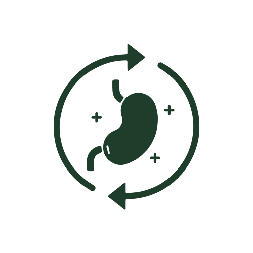 A dark green icon of a kidney enclosed in a circular arrow with small plus signs, shown on a plain white background.
