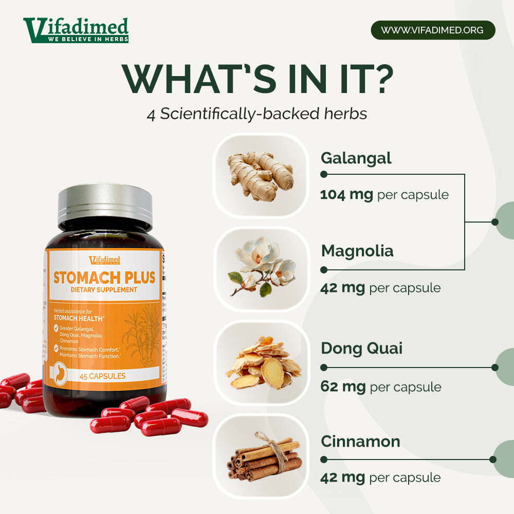 Vifadimed Stomach Plus herbal supplement bottle shown on a light gray infographic background with text reading 'WHAT'S IN IT?' and four ingredient callouts: Galangal, Magnolia, Dong Quai, and Cinnamon, each with a small product photo and capsule dosage details.