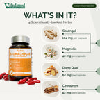 Vifadimed Stomach Plus herbal supplement bottle shown on a light gray infographic background with text reading 'WHAT'S IN IT?' and four ingredient callouts: Galangal, Magnolia, Dong Quai, and Cinnamon, each with a small product photo and capsule dosage details.