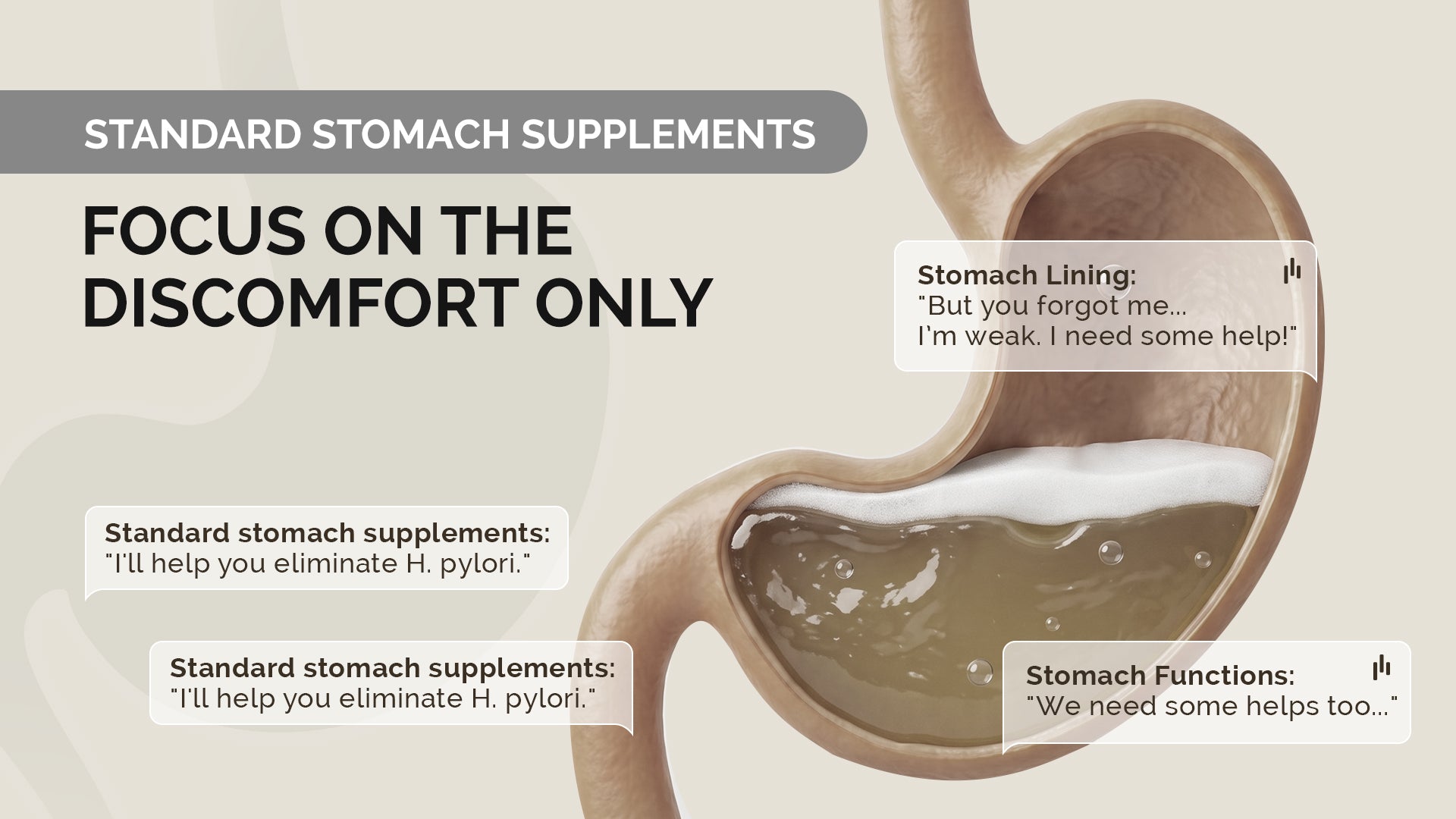 Promotional graphic for Vifamed Standard Stomach Supplements, featuring a stylized anatomical illustration of a human stomach with text overlays about stomach lining and stomach functions, on a light beige background.