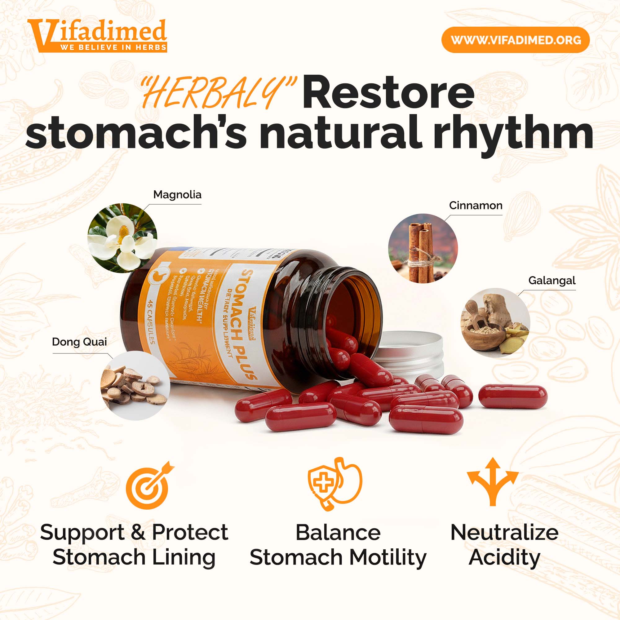 Vifadimed STOMACH PLUS