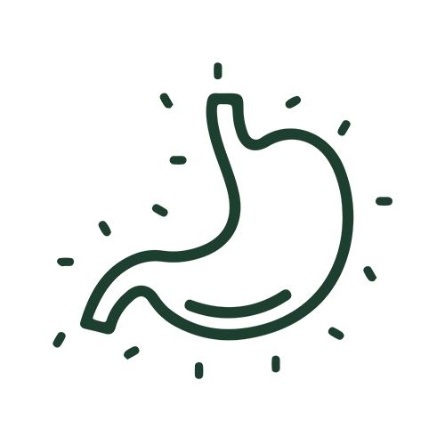 A dark green outline icon of a stomach with small dash marks around it, centered on a plain white background.